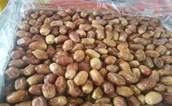 تصویر 3 از خرید و قیمت خرمای زاهدی جهرم + فروش عمده